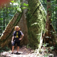 Standing near wide buttress roots of rainforest trees